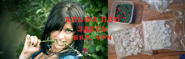 стафф Михайлов