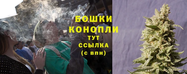 стафф Михайлов
