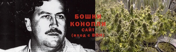 стафф Михайлов