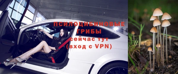 spice Михайловск