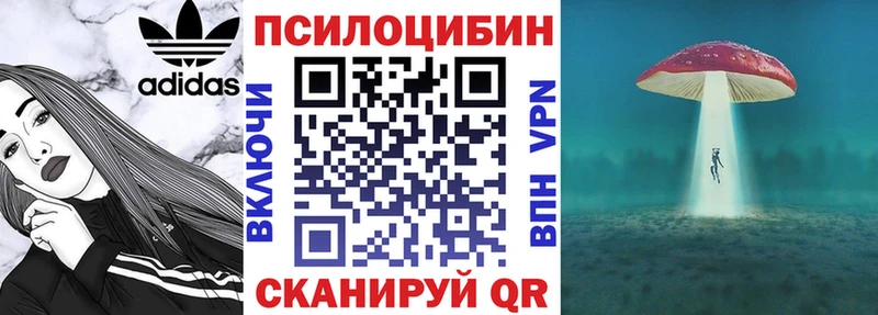 omg рабочий сайт  Оренбург  Галлюциногенные грибы ЛСД 
